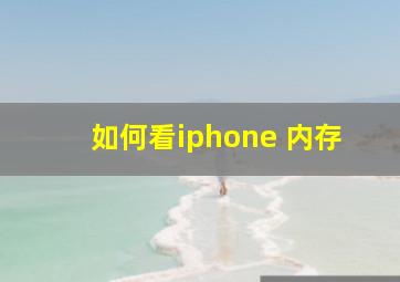 如何看iphone 内存